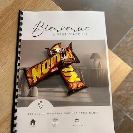 La Secrete Et Son Abrite Apartament Nancy