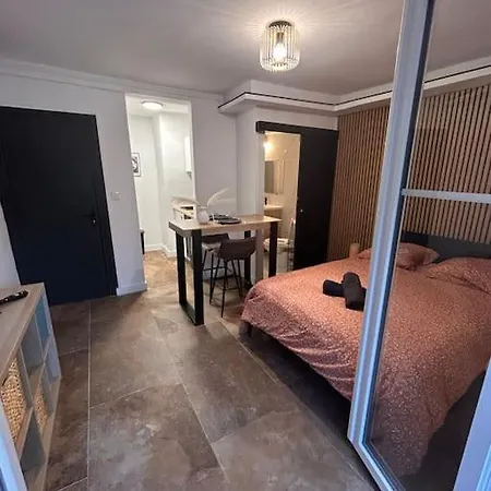 La Secrete Et Son Abrite Apartment Nancy