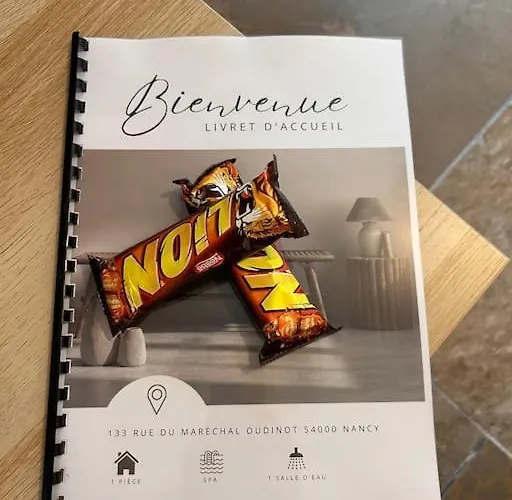 La Secrete Et Son Abrite Appartement Nancy