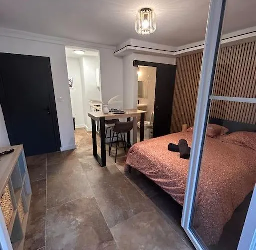 La Secrete Et Son Abrite Appartement Nancy